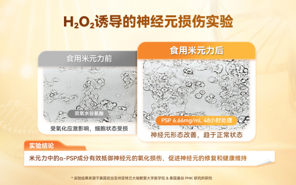 1774853008843791.jpg 1774853008843791.jpg