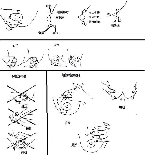 芒硝回奶图片步骤图片